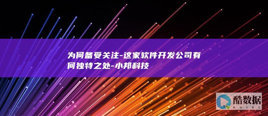 为何备受关注-这家软件开发公司有何独特之处-小邦科技