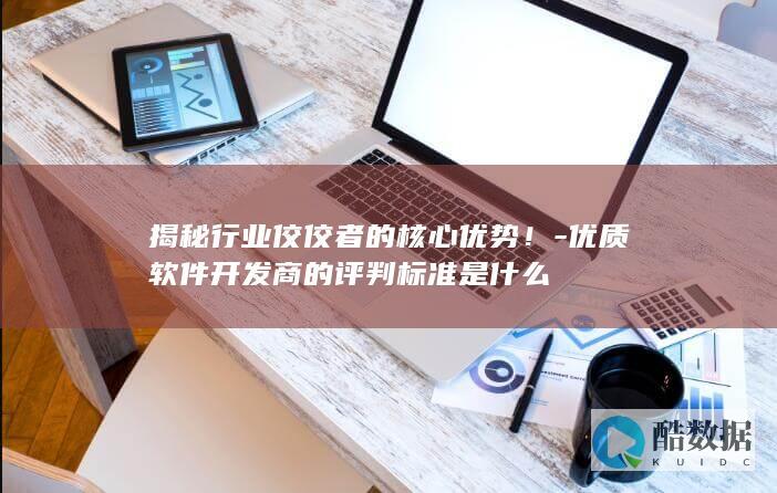 优质软件商的评判标准是什么