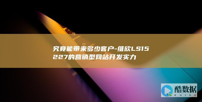 究竟能带来多少客户-维欣LS15227的营销型网站开发实力