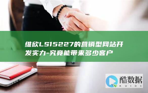 维欣LS15227的营销型网站开发实力-究竟能带来多少客户