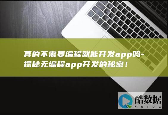 真的不需要编程就能开发app吗-揭秘无编程app开发的秘密！