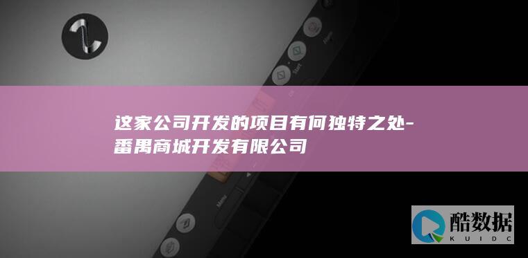 这家公司开发的项目有何独特之处
