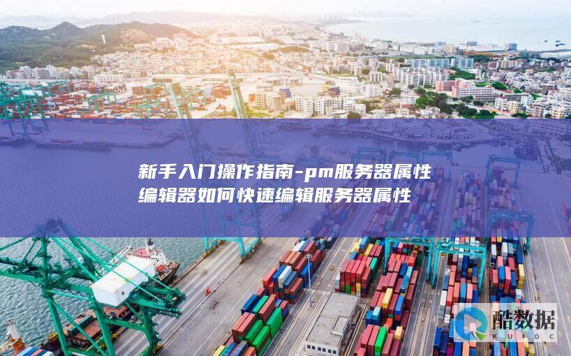 新手入门操作指南-pm服务器属性编辑器如何快速编辑服务器属性
