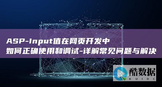 ASP-Input值在网页开发中如何正确使用和调试-详解常见问题与解决方案！