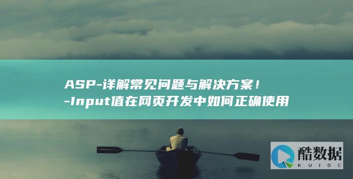 ASP-详解常见问题与解决方案!-Input值在网页开发中如何正确使用和调试