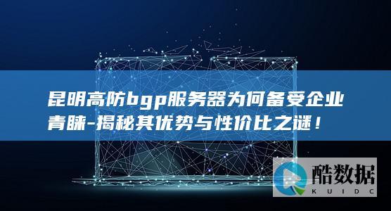 昆明高防bgp服务器为何备受企业青睐-揭秘其优势与性价比之谜！