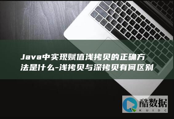 Java中实现赋值浅的正确方法是什么