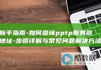新手指南-如何查询pptp服务器地址-步骤详解与常见问题解决方法