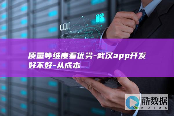 质量等维度看优劣-武汉app开发好不好-从成本