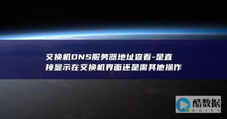 交换机DNS服务器地址查看-是直接显示在交换机界面还是需其他操作