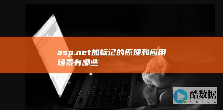 asp.net加标记的原理和应用场景有哪些