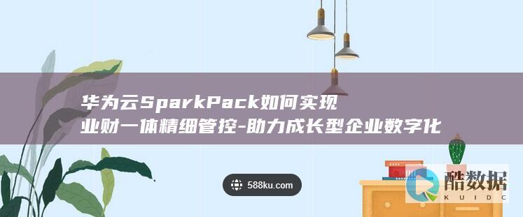 华为云SparkPack如何实现业财一体精细管控-助力成长型企业数字化转型之谜