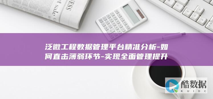 全面管理提升策略泛微工程