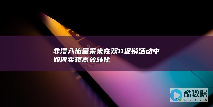 非浸入采集在双11促销活动中实现高效转化
