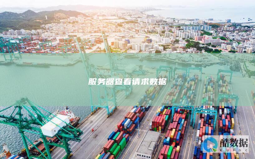 服务器查看请求数据