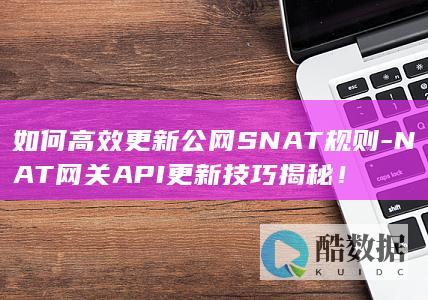 如何高效更新公网SNAT规则-NAT网关API更新技巧揭秘！