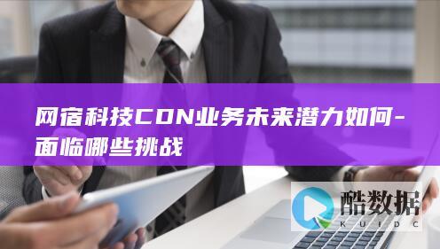网宿科技CDN业务未来潜力如何-面临哪些挑战