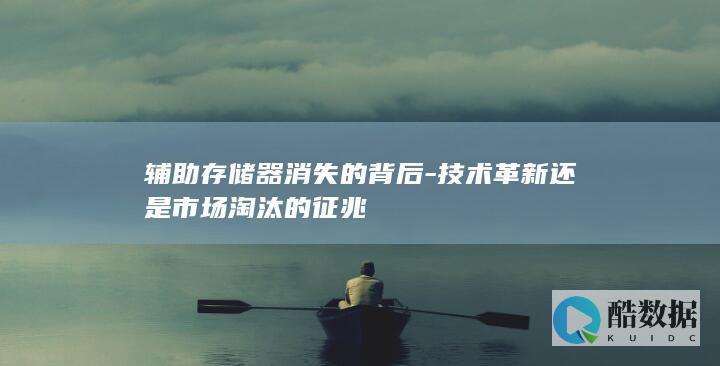 市场淘汰对辅助存储器的影响