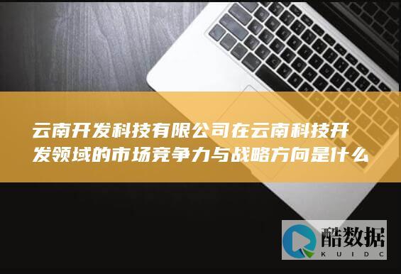 云南开发科技有限公司在云南科技开发领域的市场竞争力与战略方向是什么