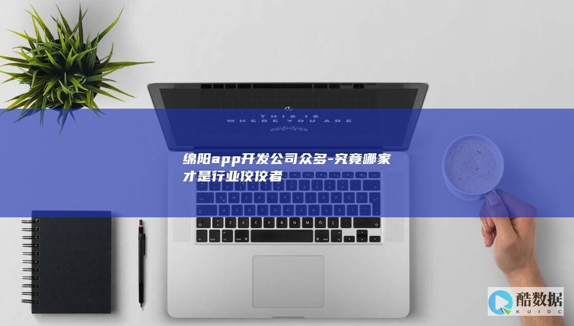 绵阳行业领先app开发企业