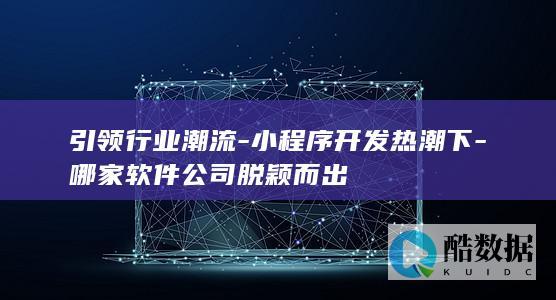 公司小开发优势