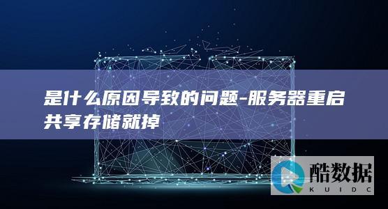 是什么原因导致的问题-服务器重启共享存储就掉