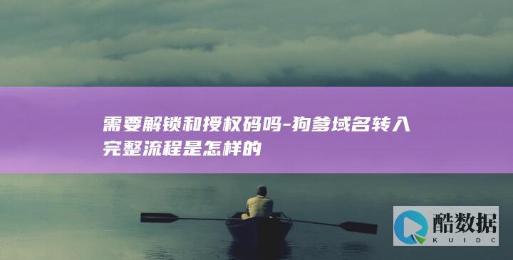 需要解锁和授权码吗-狗爹域名转入完整流程是怎样的