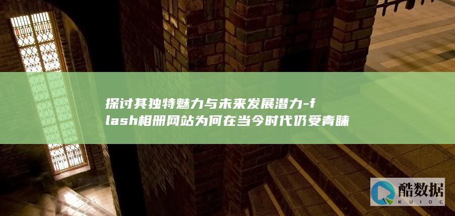 探讨其独特魅力与未来发展潜力-flash相册网站为何在当今时代仍受青睐