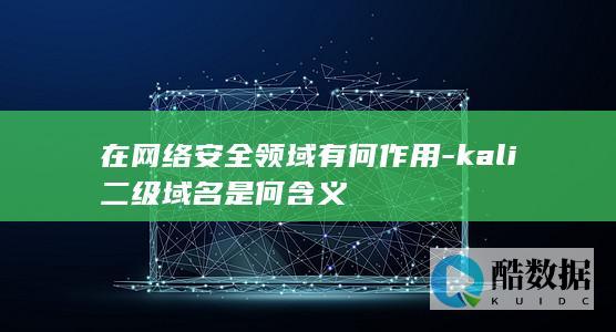 在网络安全领域有何作用-kali二级域名是何含义