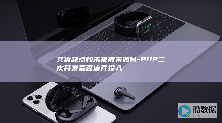 PHP二次开发前景评估