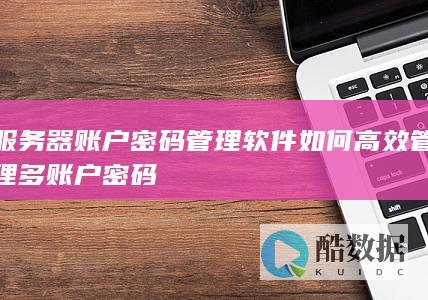 服务器账户密码管理软件如何高效管理多账户密码