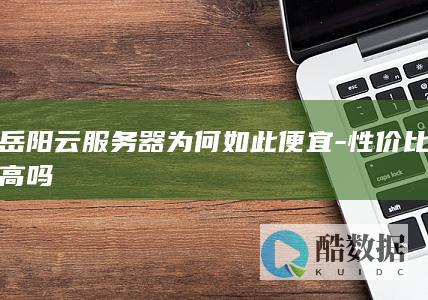 岳阳云服务器性价比分析