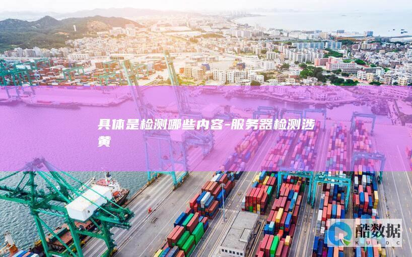 服务器检测涉黄具体项目