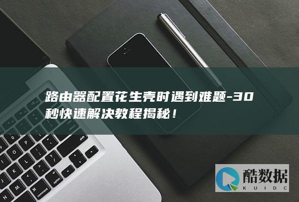 路由器配置花生壳时遇到难题-30秒快速解决教程揭秘！