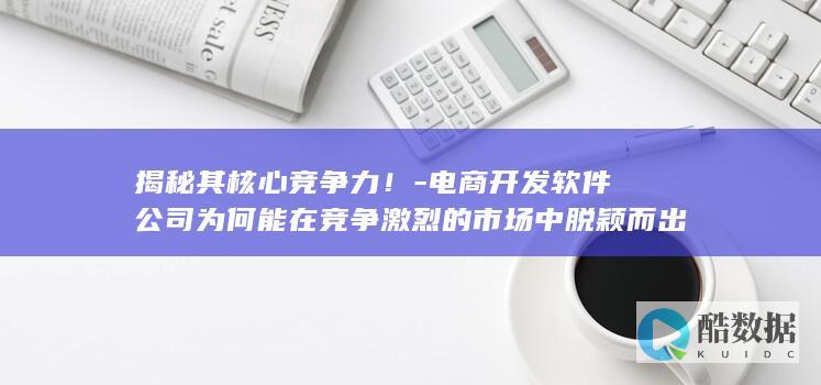 揭秘其核心竞争力！-电商开发软件公司为何能在竞争激烈的市场中脱颖而出