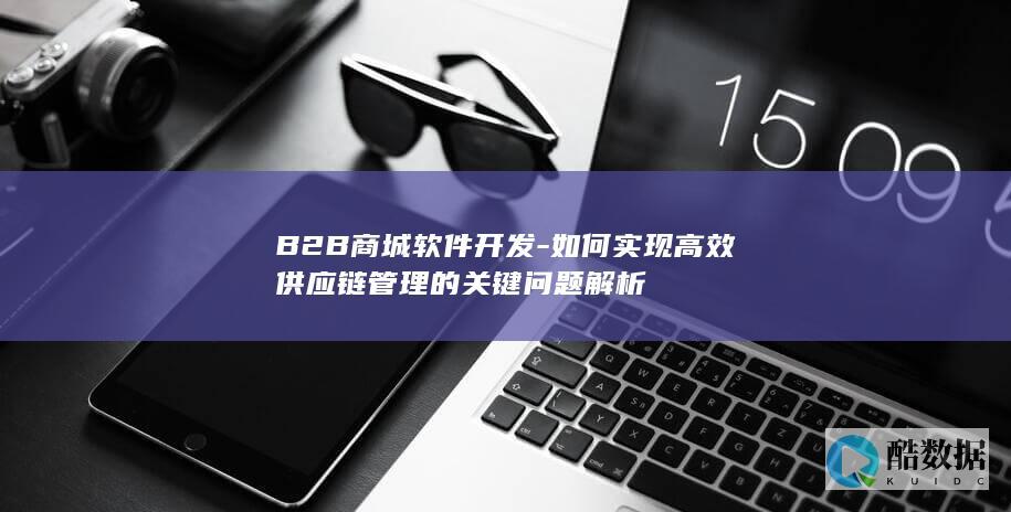 B2B软件开发