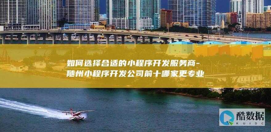 如何选择合适的小程序开发服务商-随州小程序开发公司前十哪家更专业