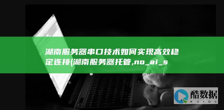 湖南服务器串口技术如何实现高效稳定连接 (湖南服务器托管,no_ai_sug:false}],slid:55142521784592,queryid:0x2873226de6c4910)