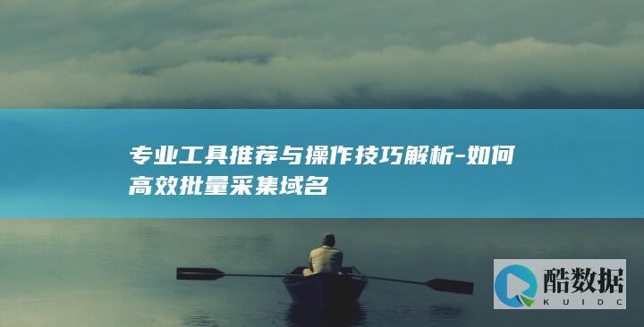 批量采集域名工具推荐