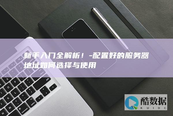 新手入门全解析!-配置好的服务器地址如何选择与使用