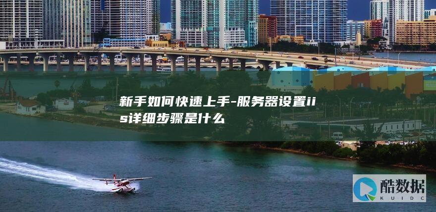 新手如何快速上手-服务器设置iis详细步骤是什么