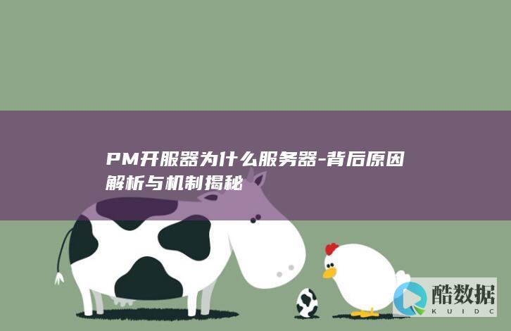 PM开服器为什么服务器-背后原因解析与机制揭秘