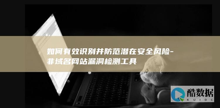 如何有效识别并防范潜在安全风险-非域名网站漏洞检测工具