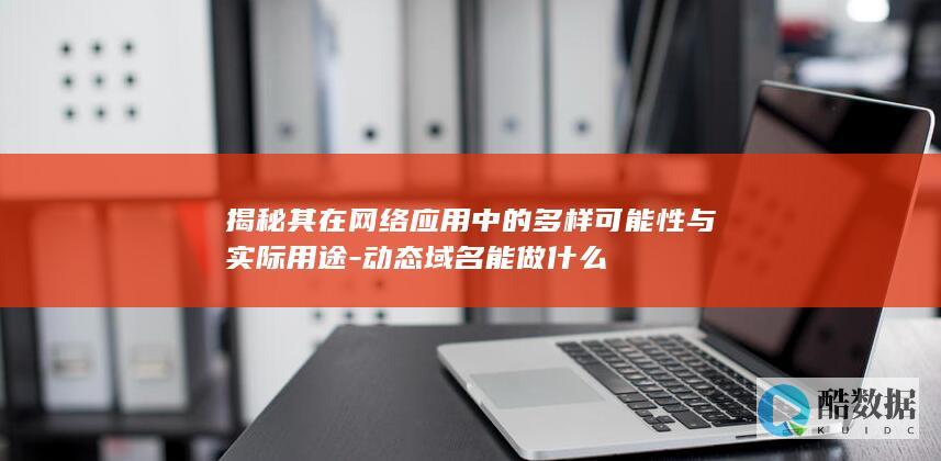 揭秘其在网络应用中的多样可能性与实际用途-动态域名能做什么
