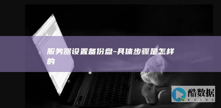 服务器设置备份盘-具体步骤是怎样的