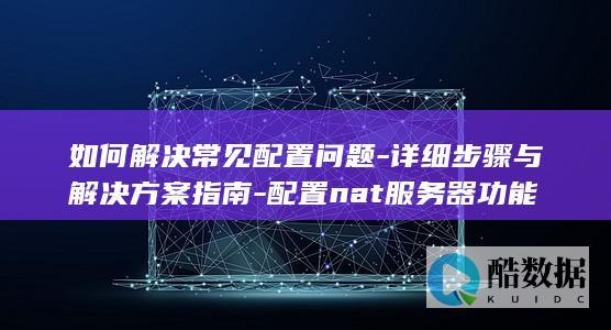 如何解决常见配置问题-详细步骤与解决方案指南-配置nat服务器功能