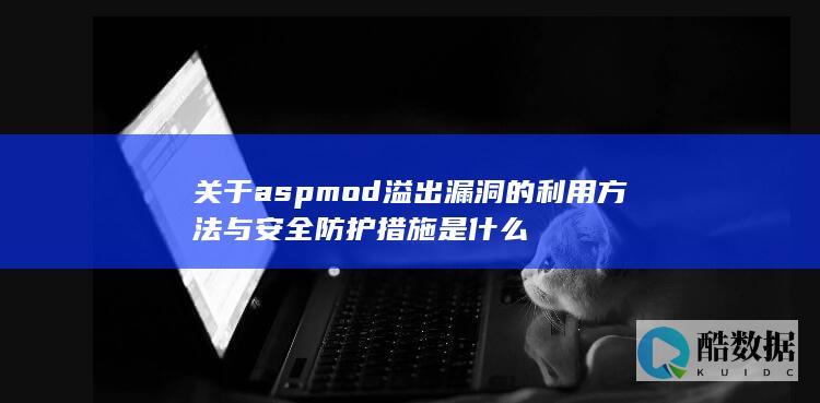 关于aspmod溢出漏洞的利用方法与安全防护措施是什么