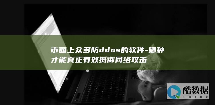 高效DDoS防御方案
