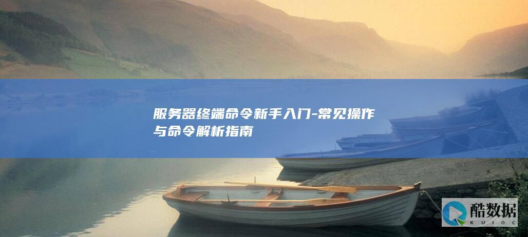 服务器命令解析指南