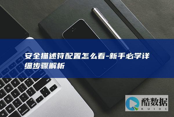 安全描述符配置怎么看-新手必学详细步骤解析